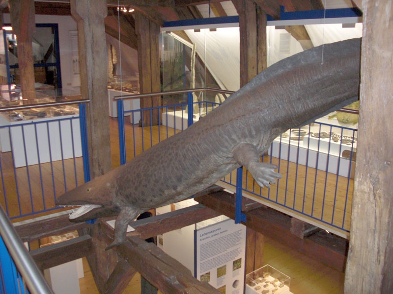 Mastodonsaurus