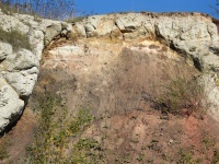 Bunte Brekzie / Suevit