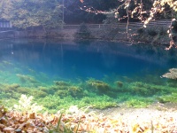 Blautopf
