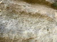 Detailaufnahme