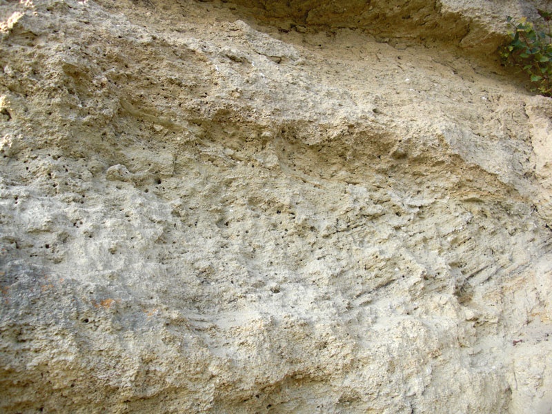 Detailaufnahme