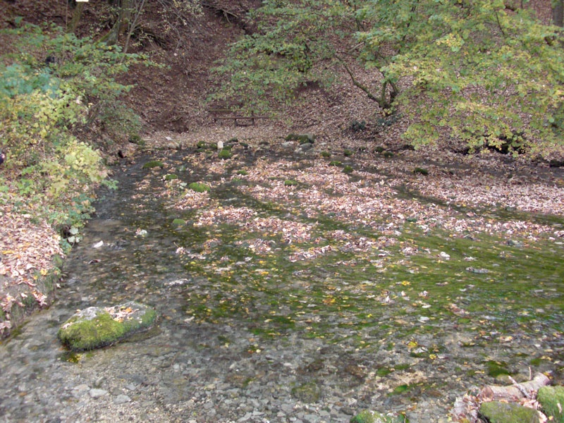 Karstquelle(n) des Schwarzen Kocher
