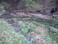 Karstwasser