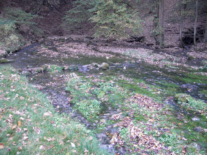 Karstwasser