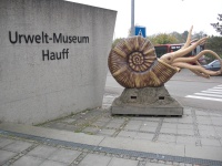 Urwelt-Museum Hauff