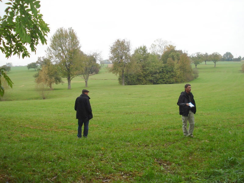 Dolinenfeld, Pforzheim / Bretten