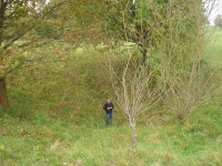 in einer Doline