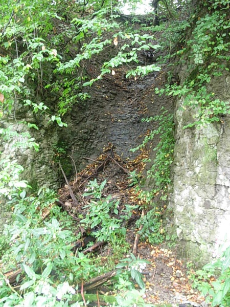 Stettenrain in Schackau