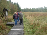 Schwarzes Moor