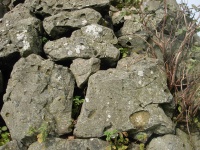 Vulkangestein (Wasserkuppe)
