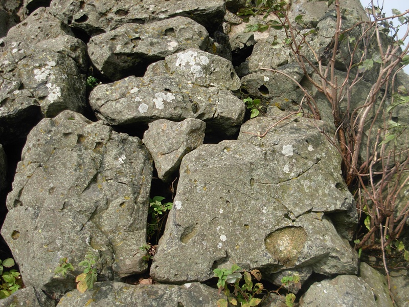 Vulkangestein (Wasserkuppe)