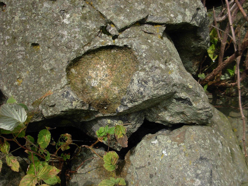 Mantel-Xenolith