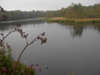 Rotes Moor