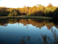Rotes Moor