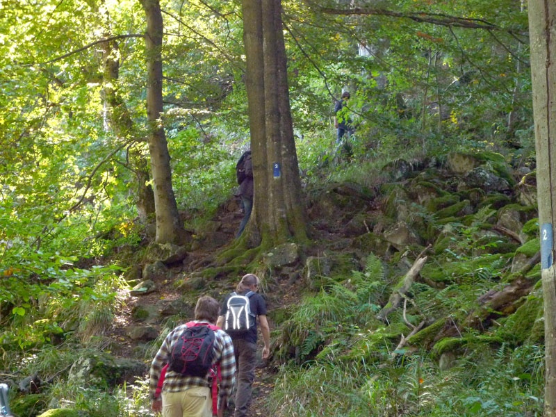 Aufstieg zum Schafstein