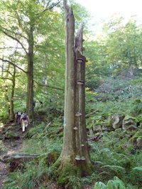 Aufstieg zum Schafstein
