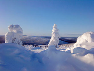 2010_dezember