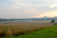 2010_november
