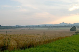 2010_november
