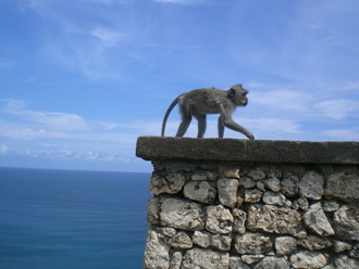 2013_juli
