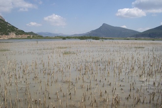 2009_april