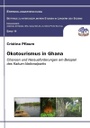 Cover_Entwicklungsforschung_Bd-14_-Pflaum_.jpg