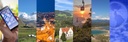 banner-projekte