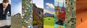 Banner-Projekte