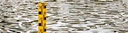 COLOURBOX11551352-960x250.jpg
