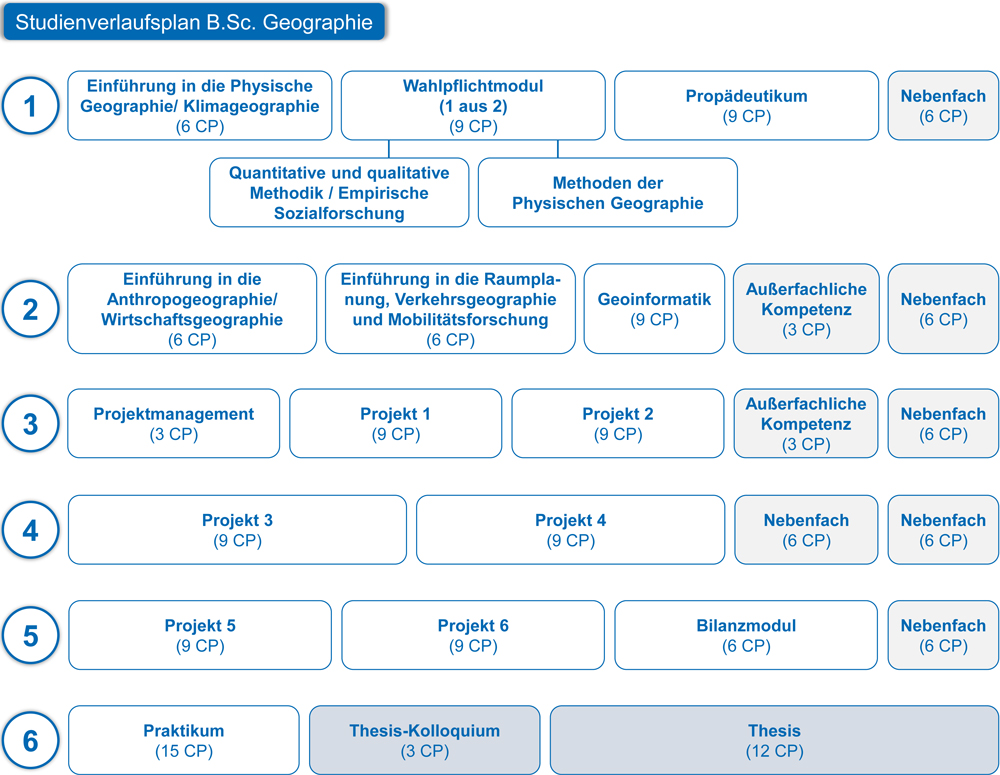 Verlaufsplan BSc gross