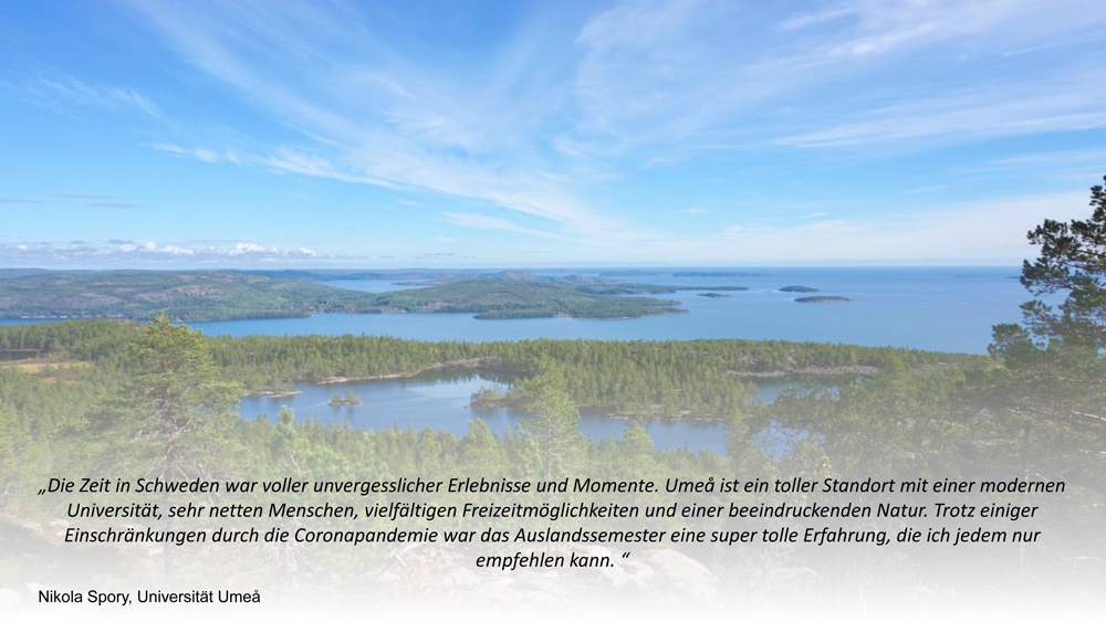 umea-spory