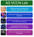 AG-VCCN-Lab_Zsf-Grafik