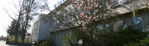 Bannerbild Institut Dekobild Institut für Informatik