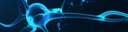 Neuroinformatik