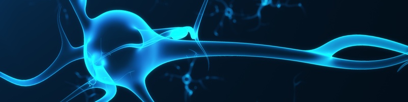Neuroinformatik