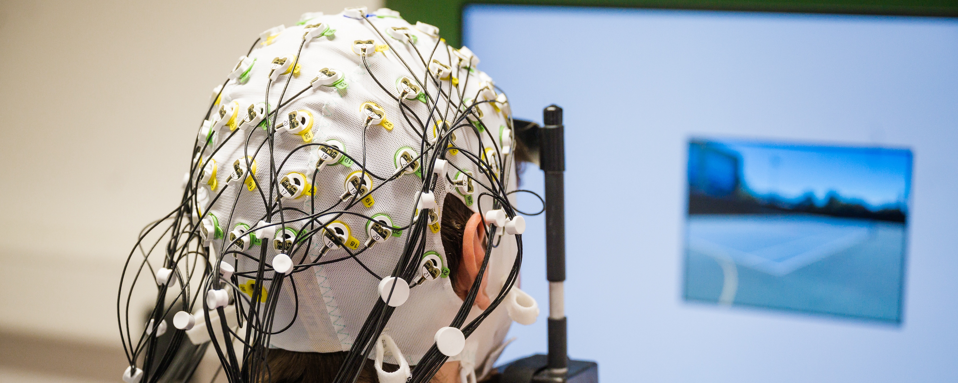 BrainReading.jpg