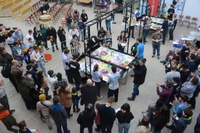 FLL3.jpg