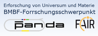 Logo ErUM-FSP T08: PANDA