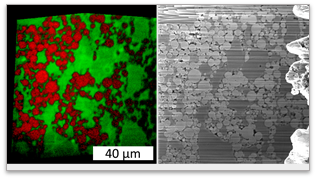 Examples.text.image1