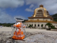 Travelling qnpi-group and FNMS mascot