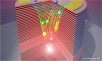 Polariton Physics