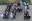 ipi_bild