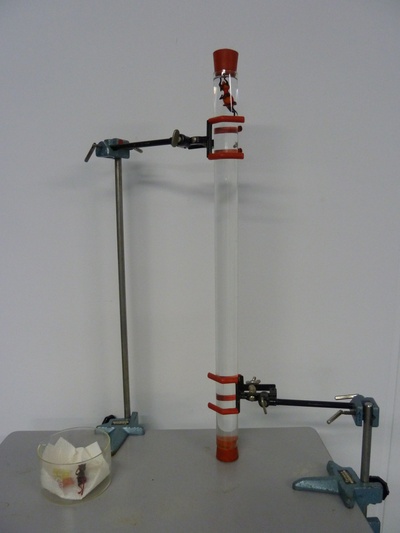 Cartesicher Taucher 01