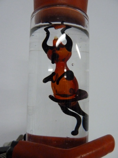 Cartesicher Taucher 02