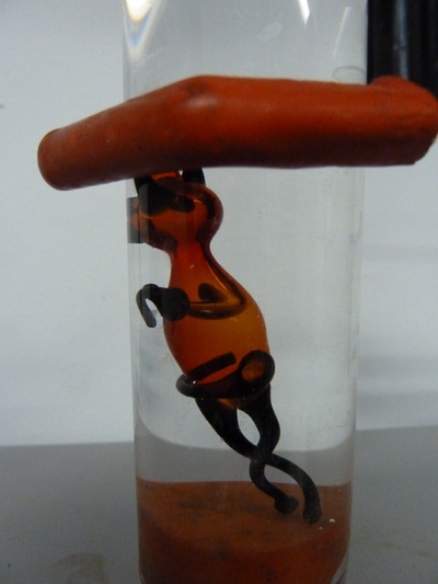 Cartesicher Taucher 03