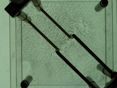 Feldlinienbilder (Stromdurchflossene Leiter) 05