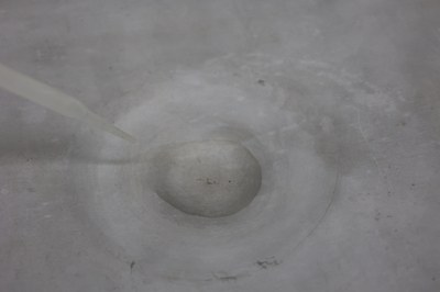 Leidenfrost 02