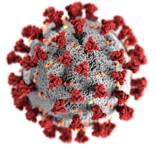 SARS-CoV-2-Virion