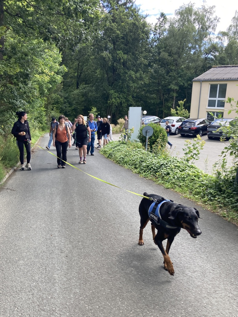 Sussie leading the way.JPG