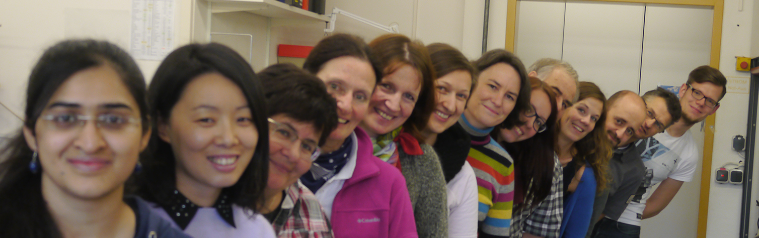 group picture lab